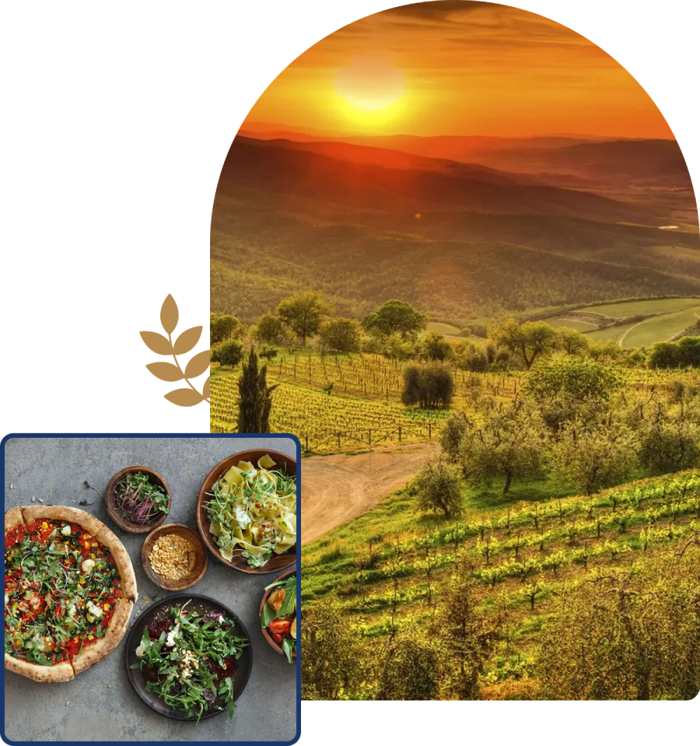 Sunset over vineyard with Italian food