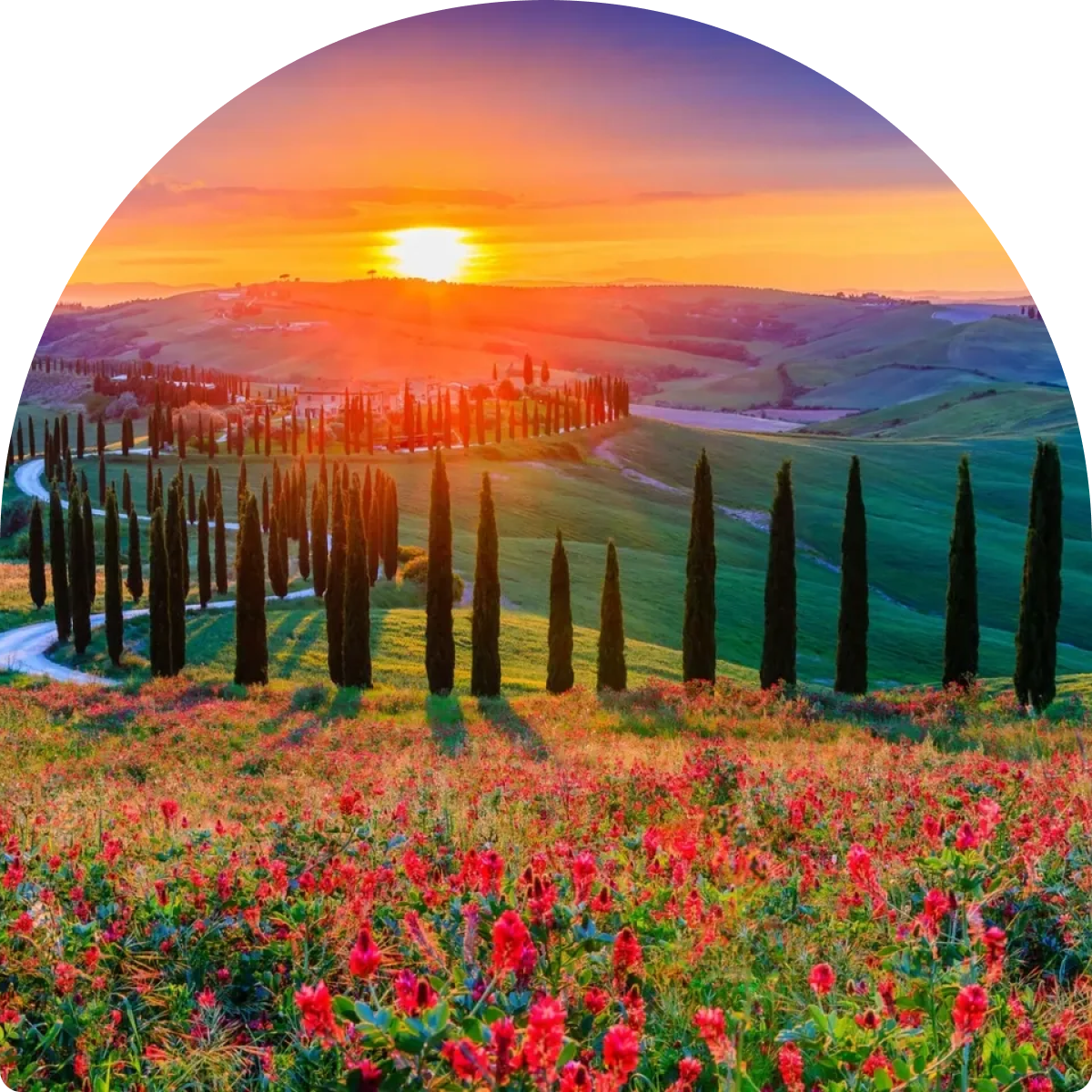 Scenic Tuscan landscape at sunset with flowers